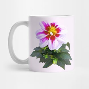 Two-Toned Pink Dahlia Mug